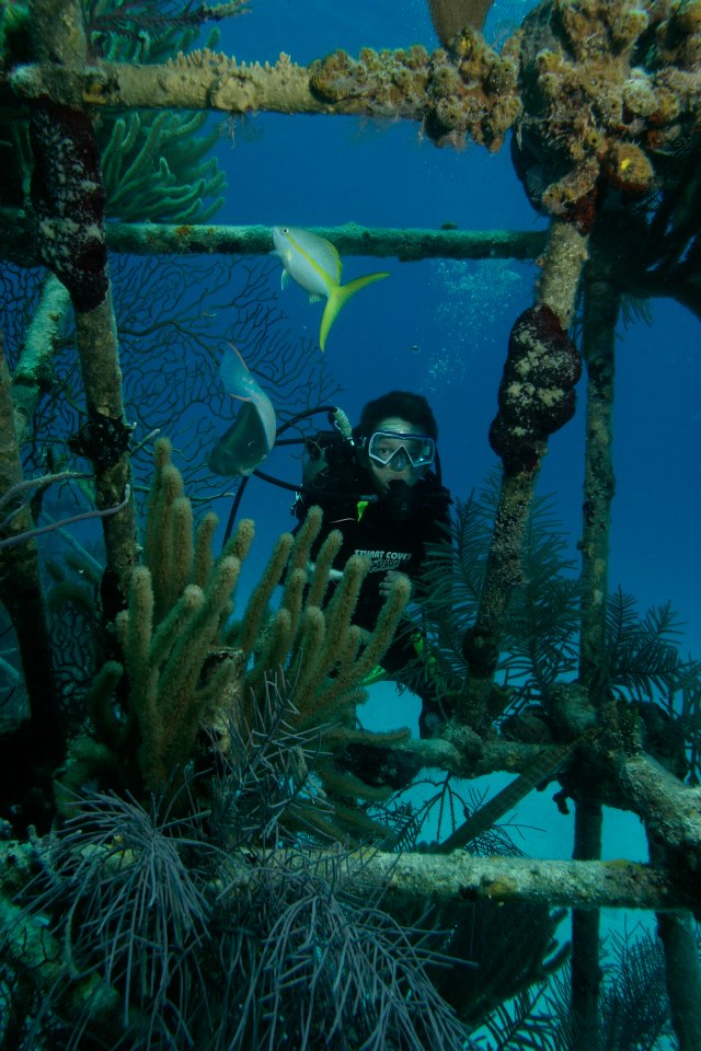 304500_10151356814842995_627606583_n